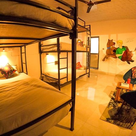 Funky Backpackers Hotell Udaipur Eksteriør bilde